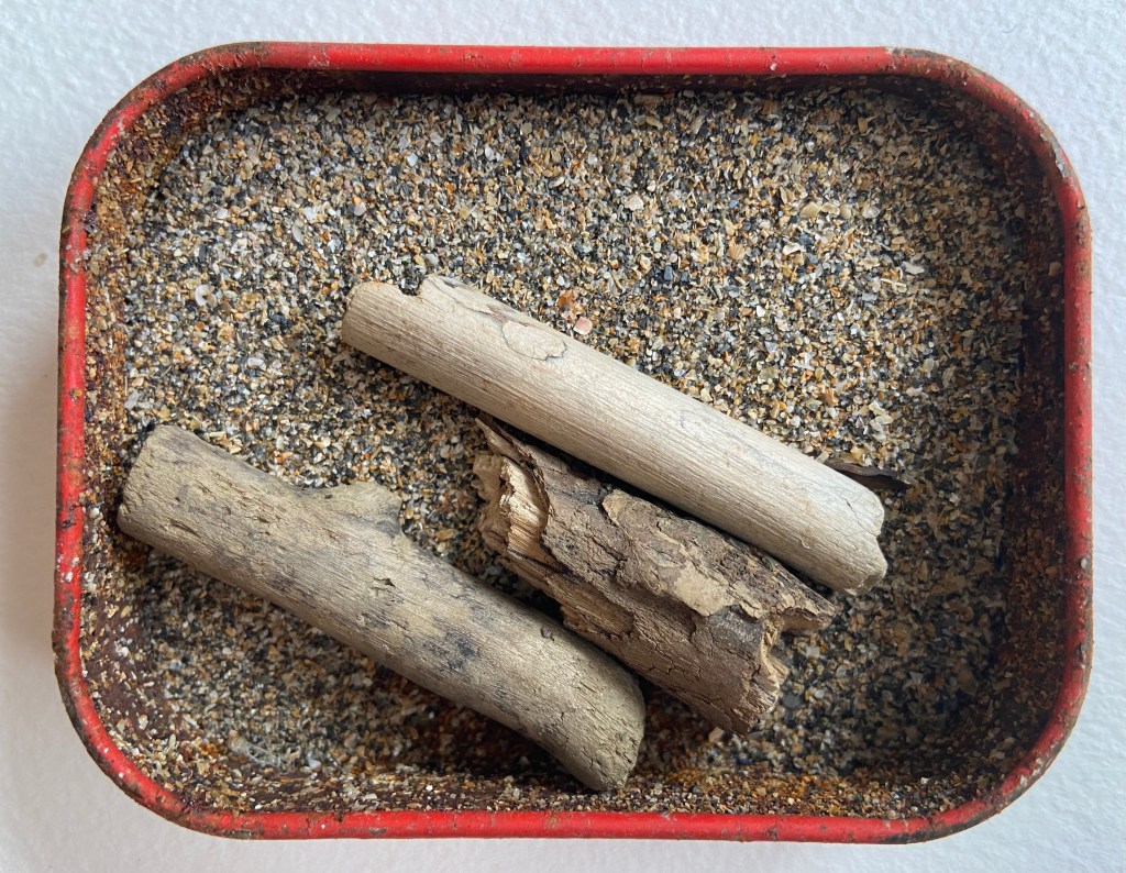 Crackington Haven (Cornwall) 2018 - A Concentrate of Place by Tanya Shadrick