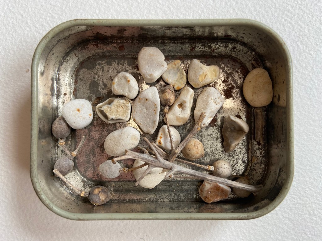 Dungeness, Kent (2018) - A Concentrate of Place by Tanya Shadrick