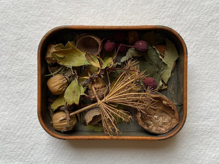 Jan Michalski Foundation, Switzerland (2017) - a Concentrate of Place by Tanya Shadrick