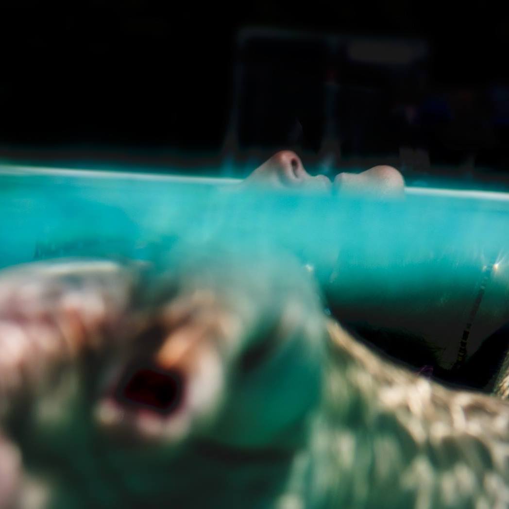 Tanya Shadrick Pells Pool 2016