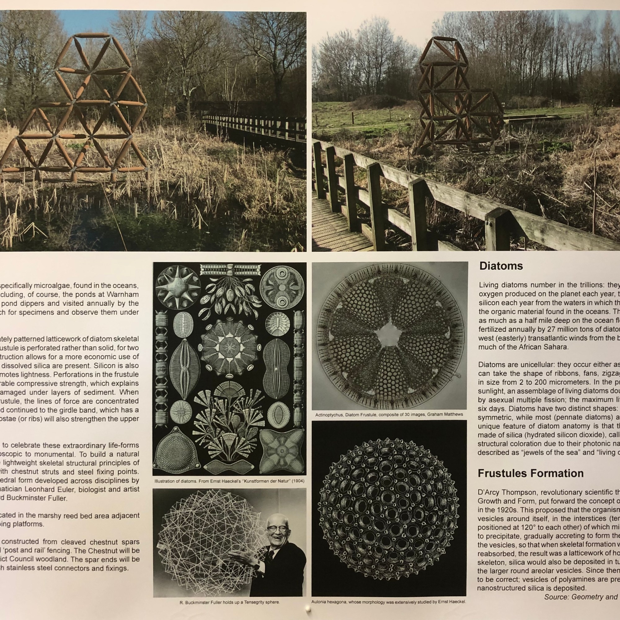 Tanya Shadrick in residence at Warnham Nature Reserve