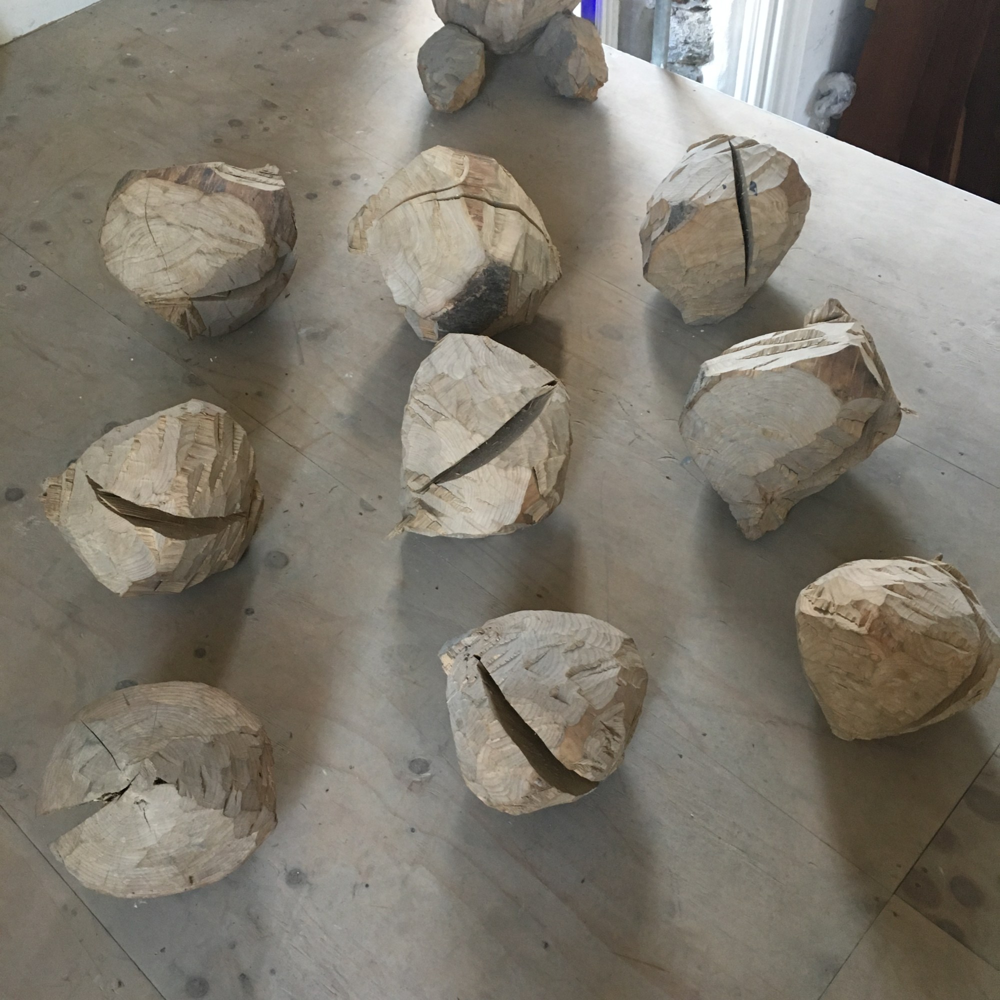 Tanya Shadrick & family with Sculptor David Nash