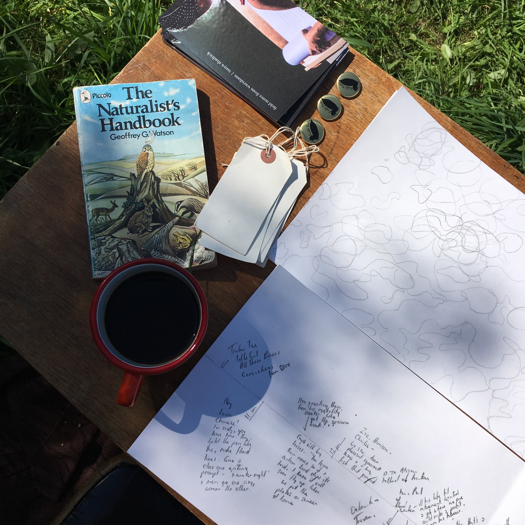 Tanya Shadrick in residence at Warnham Nature Reserve