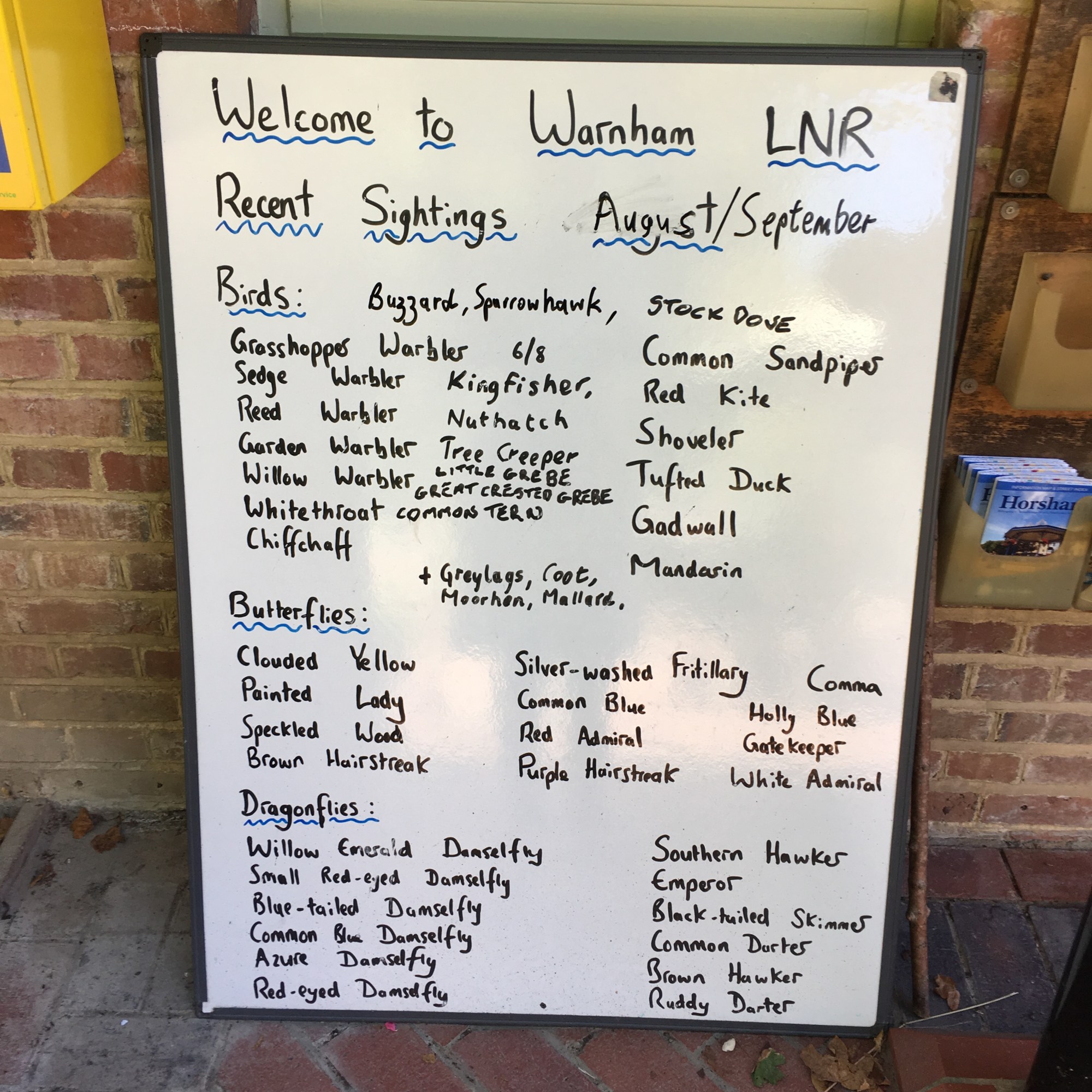 Tanya Shadrick in residence at Warnham Nature Reserve