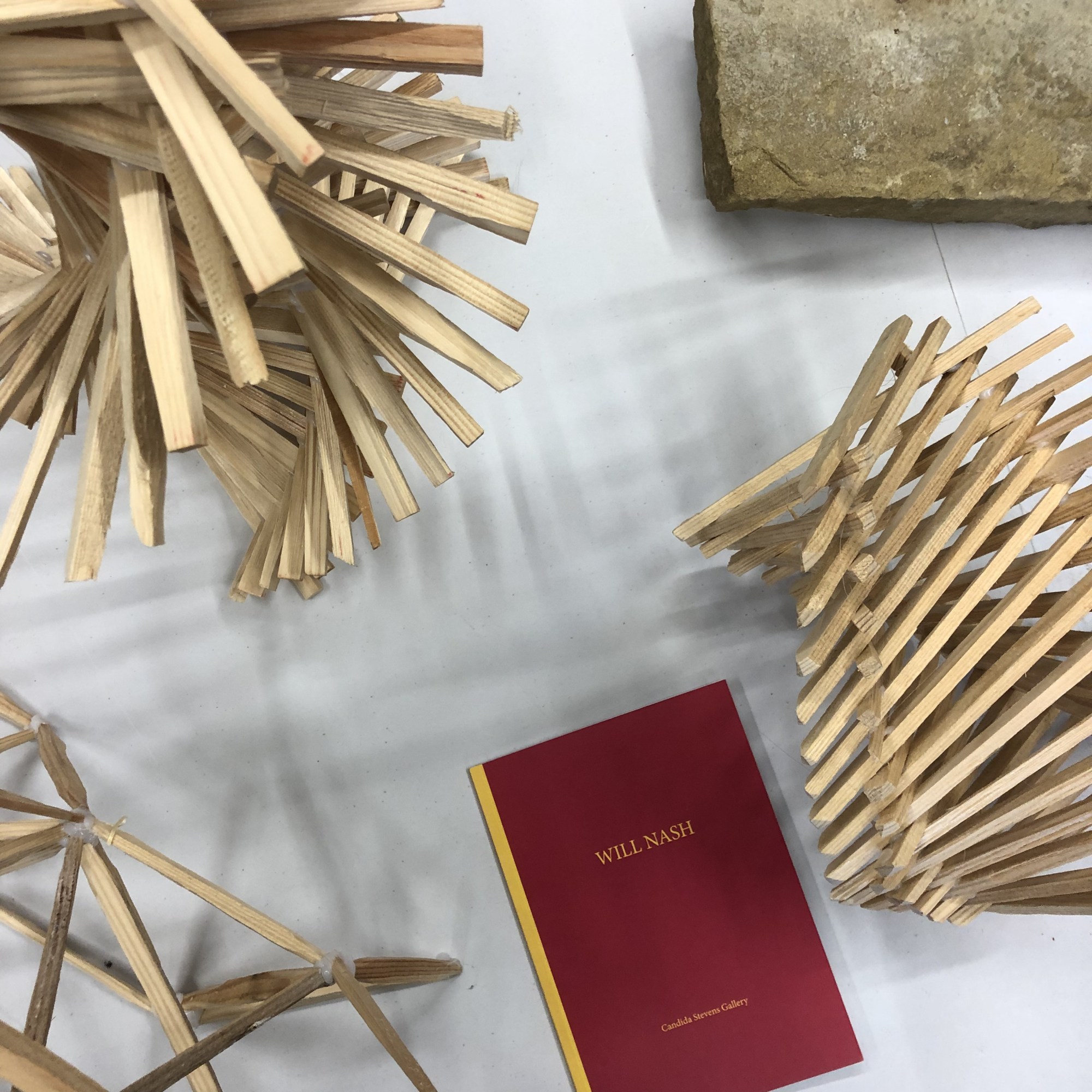 Tanya Shadrick in residence at Warnham Nature Reserve