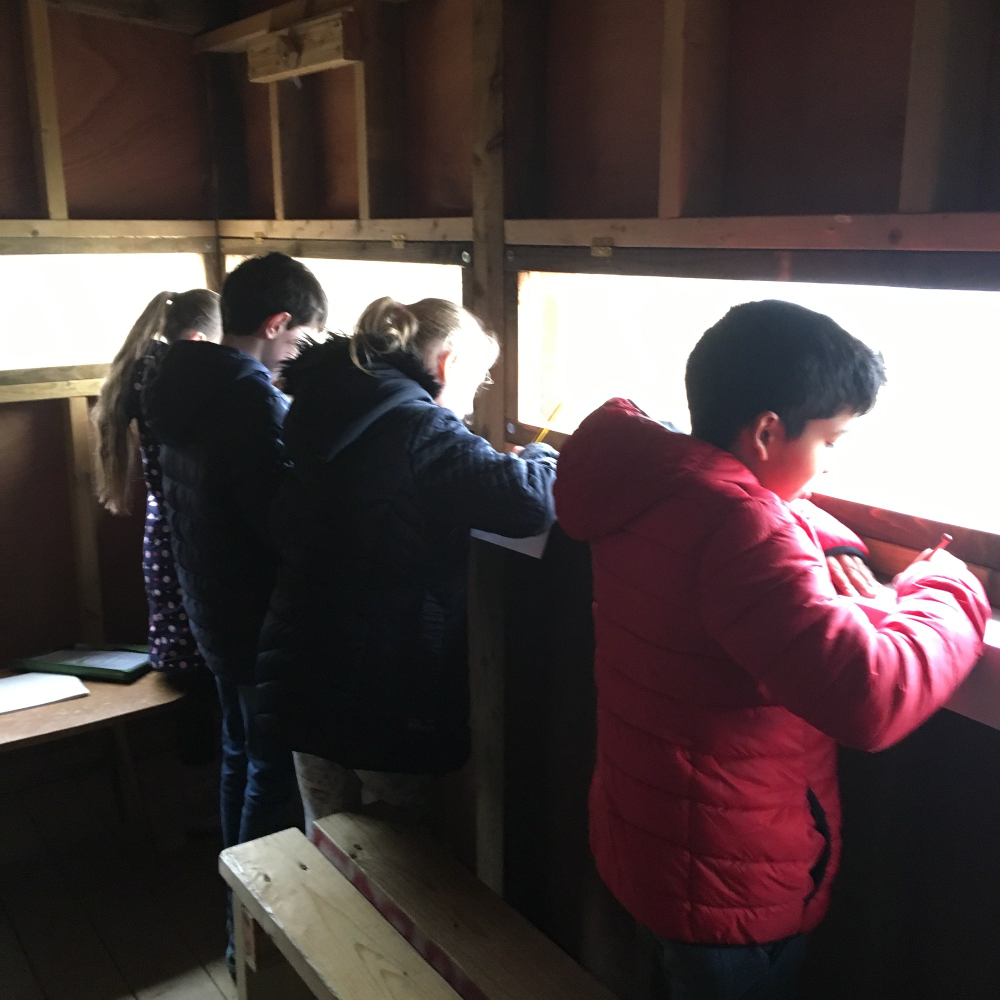 Tanya Shadrick in residence at Warnham Nature Reserve
